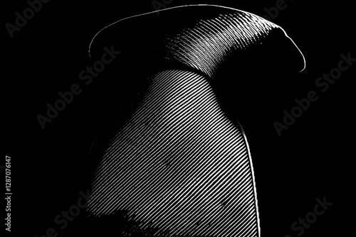Close Up of a Black Tie Knot