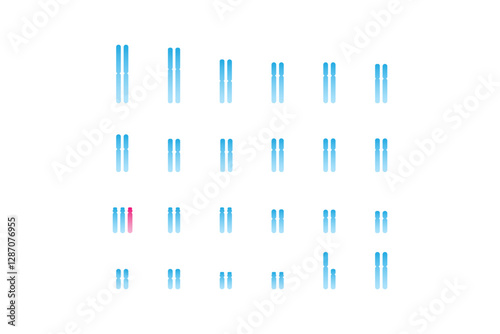 Trisomy 13 Syndrome Science Design. Vector Illustration.