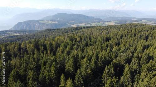 Thick, green Forest in Italy, with imposing  mountains.