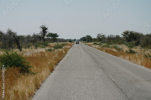 Cars mooving on the road to Safari in national park Etosha in Namibia photo