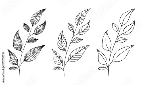 Hand-drawn botanical illustrations of leaves. Line art leaf set. Minimalistic branch with fine lines. Vector illustration