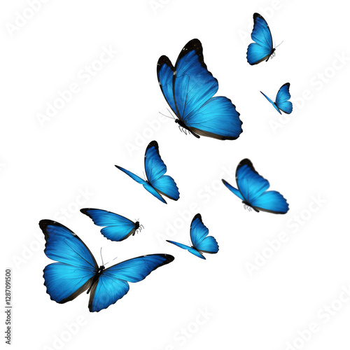 Flying butterflies isolated on transparent background, blue Butterflies PNG 