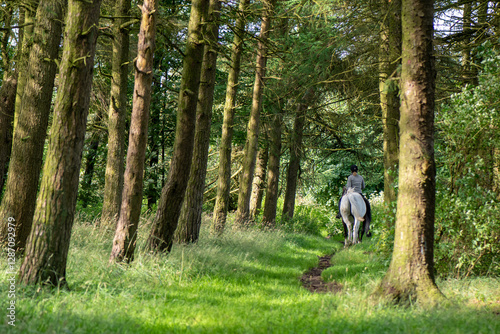 A women riding a horse in the woodland