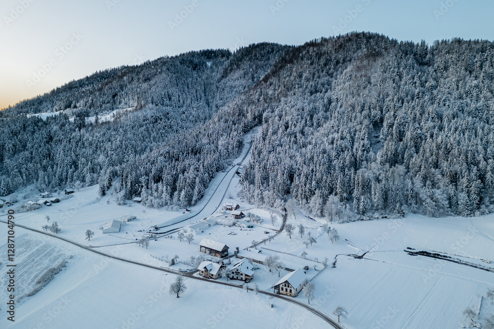 Ski jumps of ljubno ob savinji, part of female ski jump world cup, viewed in early morning and snow covered grasslands and hills