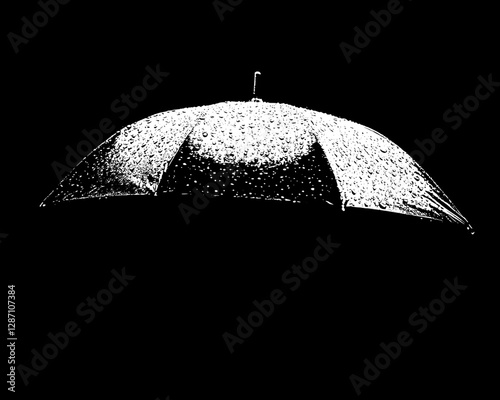Elegant Rainy Umbrella in the Dark
