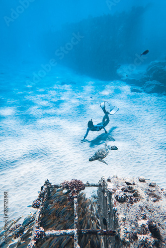 diver with turtle underwater deep blue 