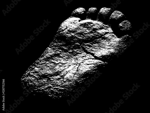Ancient Footprint in Stone - A Timeless Impression