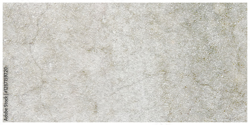 Wallpaper Mural Dirty grunge white and gray background. The monochrome texture is old, Vector Grunge Texture. Distress overlay vector textures. Old damage Dirty grainy. Overlay textures grunge effect for business,  Torontodigital.ca