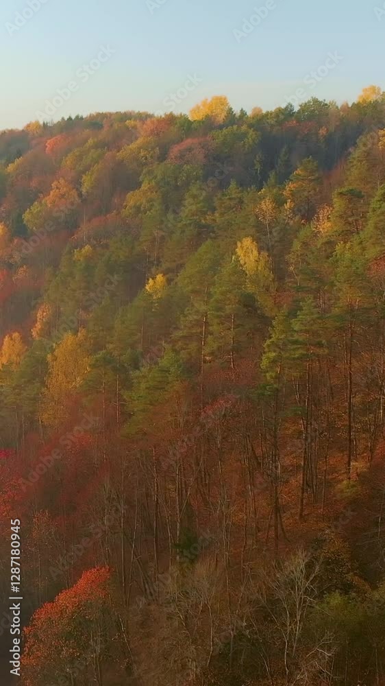 Aerial vertical scene of beautiful foggy forest in autumn with yellow and orange foliage. Bird's eye early morning view of trees and river. Fall city park scenery in Vilnius, Lithuania. Aerial vertical scene of beautiful foggy forest in autumn with yellow and orange foliage. Bird's eye early morning view of trees and river. Fall city park scenery in Vilnius, Lithuania.