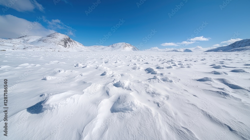 Arctic snow landscape vastness, pristine wilderness, sunny day Arctic snow landscape vastness, pristine wilderness, sunny day