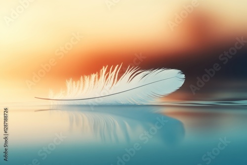 White feather floating on sunset water	