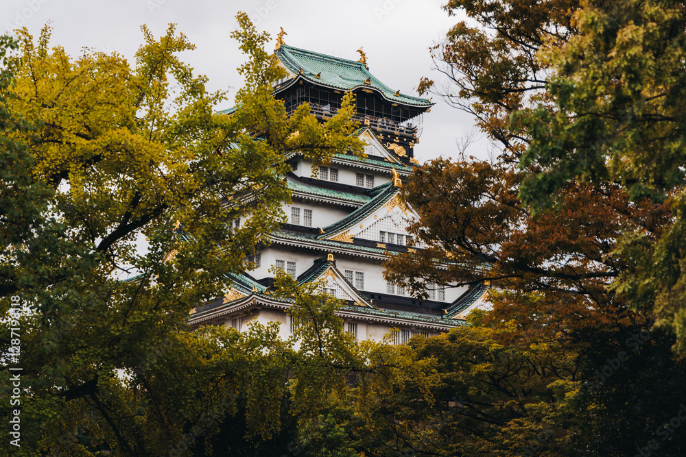 Fototapeta premium Osaka Castle, Osaka city, Japan, summer landscape vibrant view with a blue sky, Osakajo castle building, Kansai region, Osaka prefecture, travel to Japan