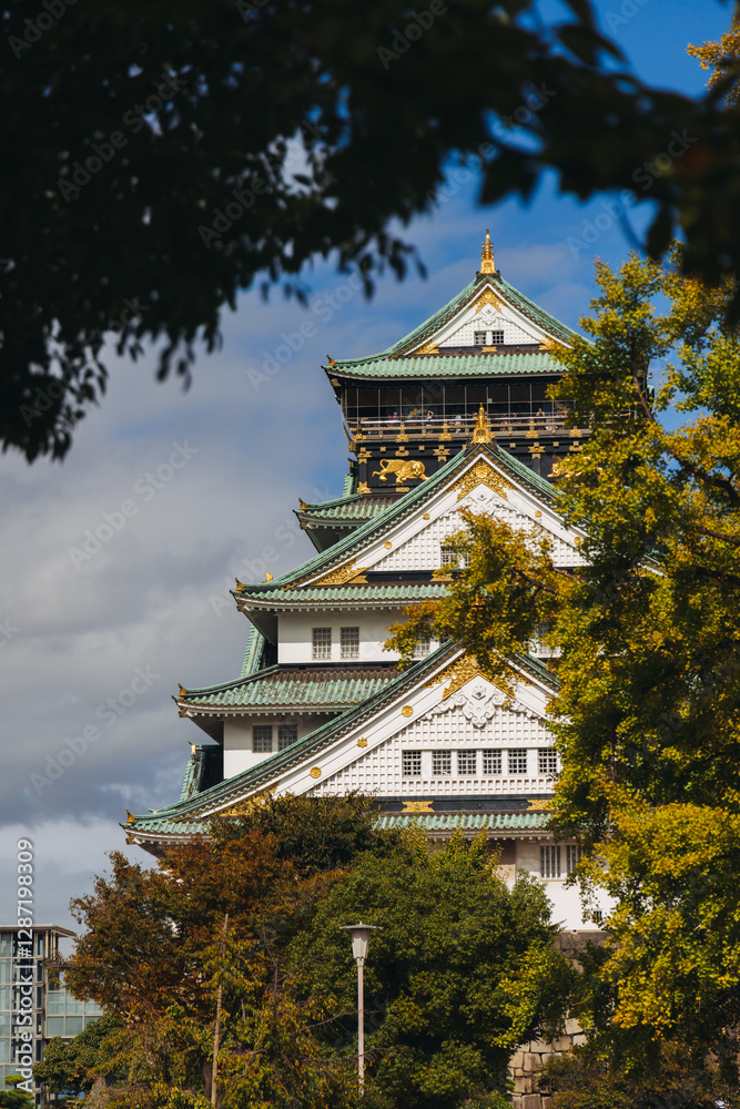 Fototapeta premium Osaka Castle, Osaka city, Japan, summer landscape vibrant view with a blue sky, Osakajo castle building, Kansai region, Osaka prefecture, travel to Japan