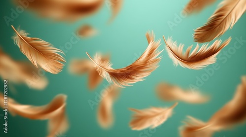 Golden feathers floating on teal background	 photo