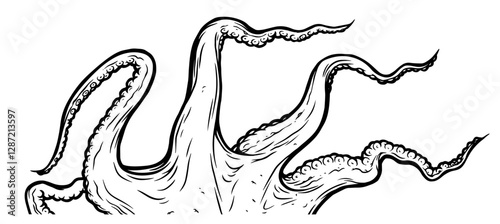 Tentacles of octopus, vector hand drawn collection of illustrations. Black and white engraving style drawings. Tentacle straight and with rings in different angles.
