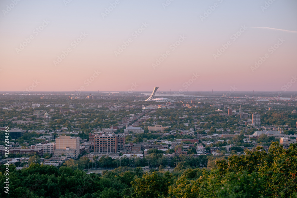 Obraz premium View on Montreal panorama, olympic stadium in the distance