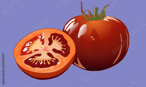 vector illustration of tomato