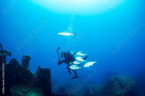 ヒレナガカンパチ　小笠原　東京都