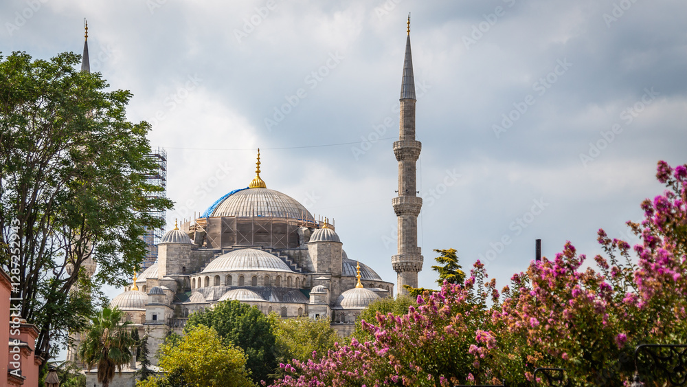 Fototapeta premium Turkey