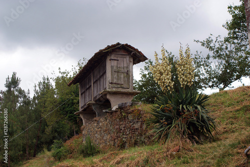 Traditional old Galician family farm hórreo made of wood and stone, outdoor farmhouse food pantry, rural country house granary in nature on cloudy spring day in Melide village, La Coruña, Galicia. 	