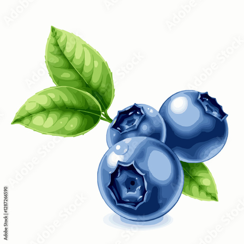 fresh blueberries with leaves vector illustration