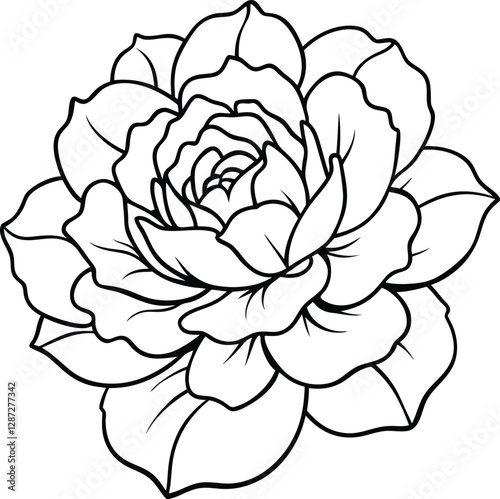 A lush pink peony with soft, layered petals
