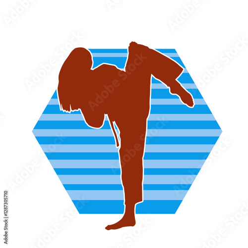 Silhouette of a woman kicking pose. Silhouette of a female martial art in action pose.