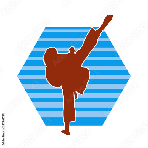 Silhouette of a woman kicking pose. Silhouette of a female martial art in action pose.