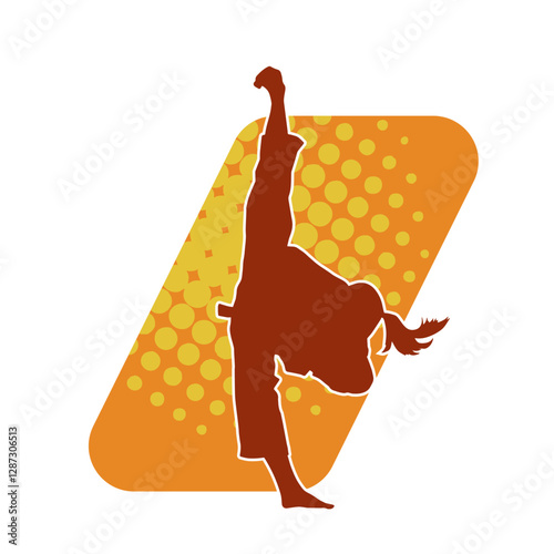 Silhouette of a woman kicking pose. Silhouette of a female martial art in action pose.