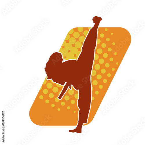 Silhouette of a woman kicking pose. Silhouette of a female martial art in action pose.