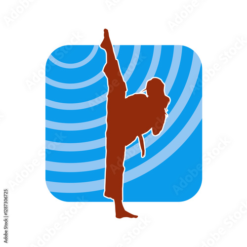 Silhouette of a woman kicking pose. Silhouette of a female martial art in action pose.