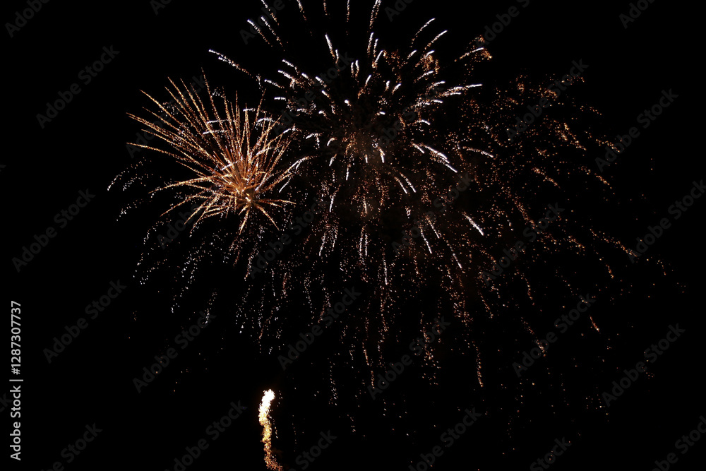 fireworks in the sky fireworks in the sky