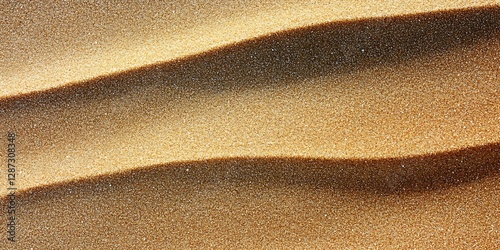 Desert Sand Texture Close Up