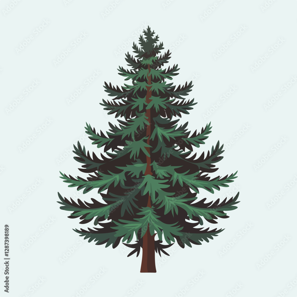 A Flat-Style pine tree on a Plain White Background A Flat-Style pine tree on a Plain White Background