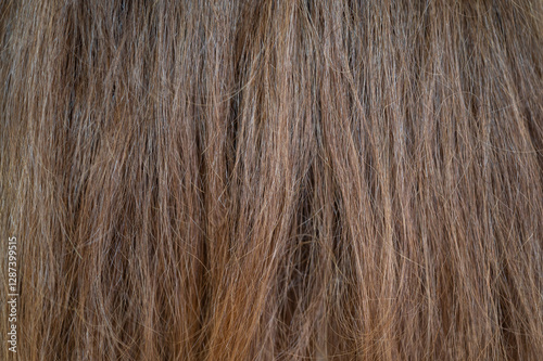 Photography Full frame shot of woman hair textured and background