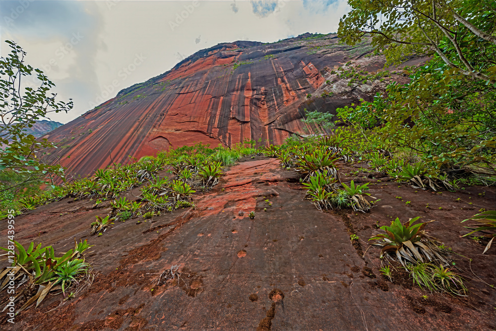 Steep Cliffs Covered With Bromeliads