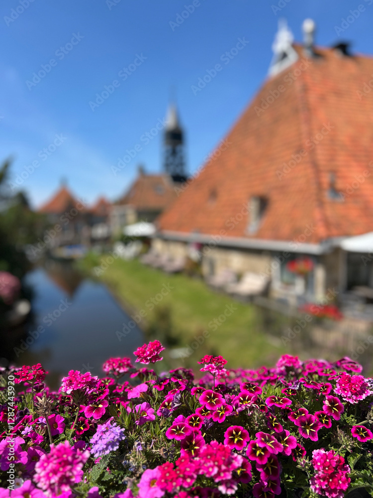 Flowers in Hindeloopen in Friesland