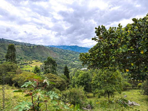 Scenic Mountain Landscape of Choachí, Cundinamarca, Colombia with Lush Greenery and Rolling Hills

