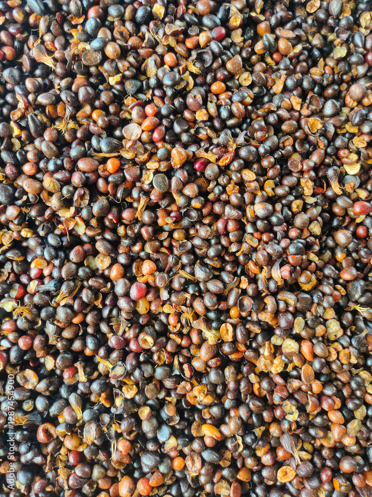 Closeup palm kernal seeds mixed with shell and uncrack palm kernal