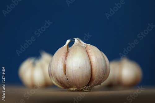 garlic studio shot. garlics clove still life photo