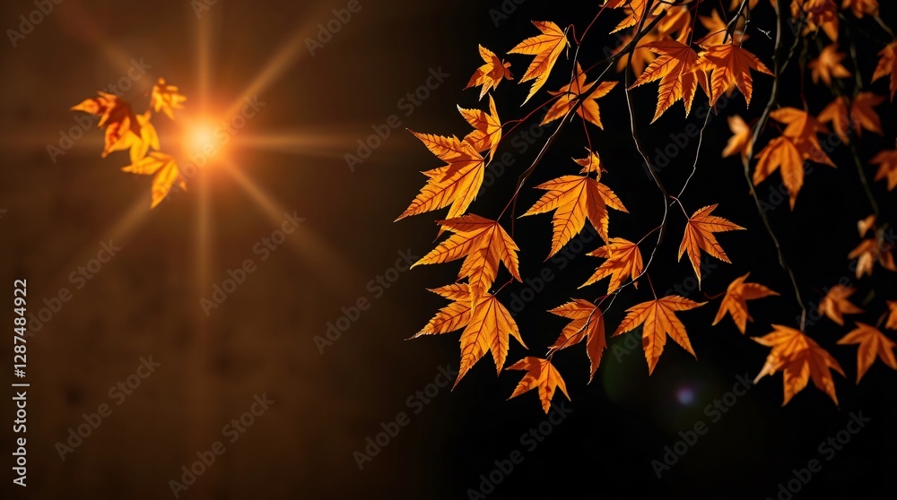 Golden Autumn Foliage on a Tree in Full Splendor Golden Autumn Foliage on a Tree in Full Splendor