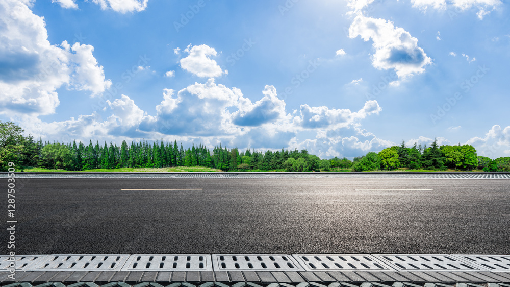 Asphalt road with green forest and clear blue sky in summer