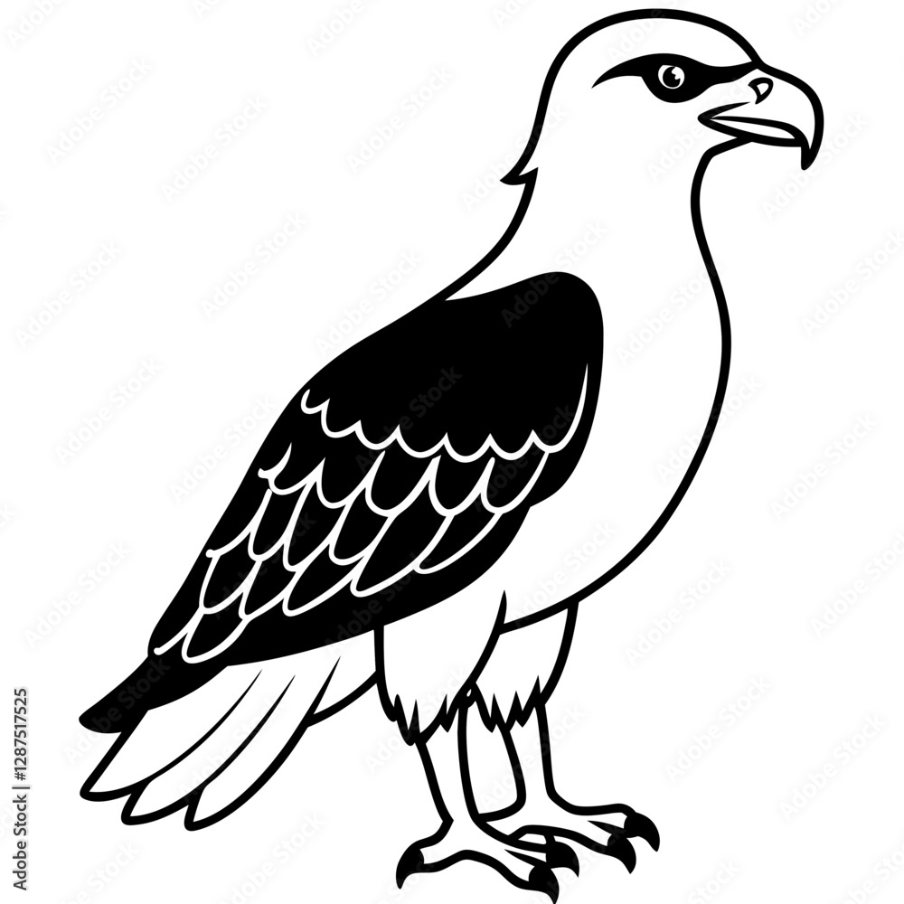 Fototapeta premium eagle isolated on white