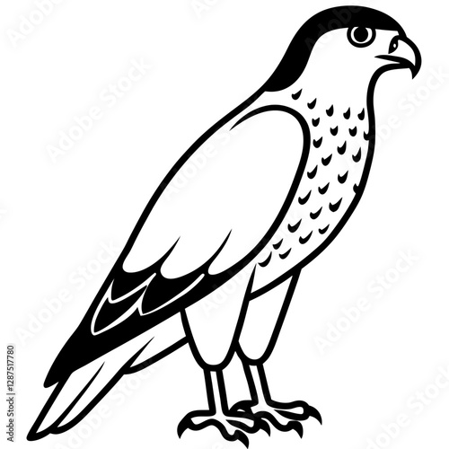 bird of prey