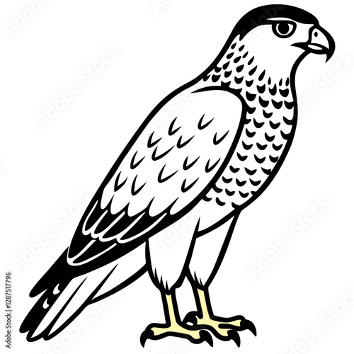 bird of prey