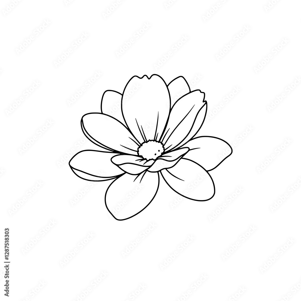 Floral Outline: A delicate line drawing of a blooming flower, showcasing the intricate details of its petals and center. Capturing the beauty of nature in a minimalist and elegant way. Floral Outline: A delicate line drawing of a blooming flower, showcasing the intricate details of its petals and center. Capturing the beauty of nature in a minimalist and elegant way.