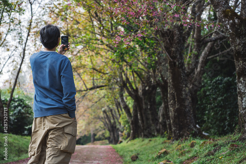 solo traveler in nature concept with asian man take photo bby phone and sightseeing with pink cherry blossom tree in springtime season photo