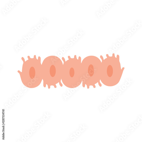 Osteoblasts