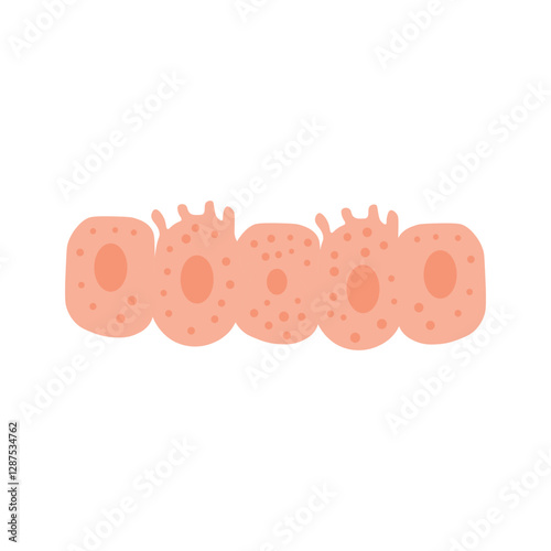 Osteoblasts