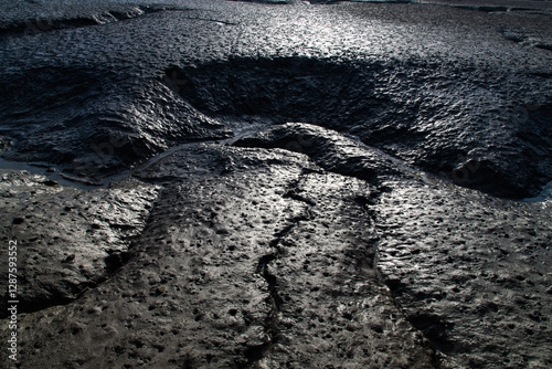 mudflat at the seaside photo